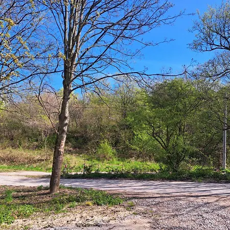 Apartment Mieszkanko Ukryte W Lesie, 10 Min Od Starego Miasta