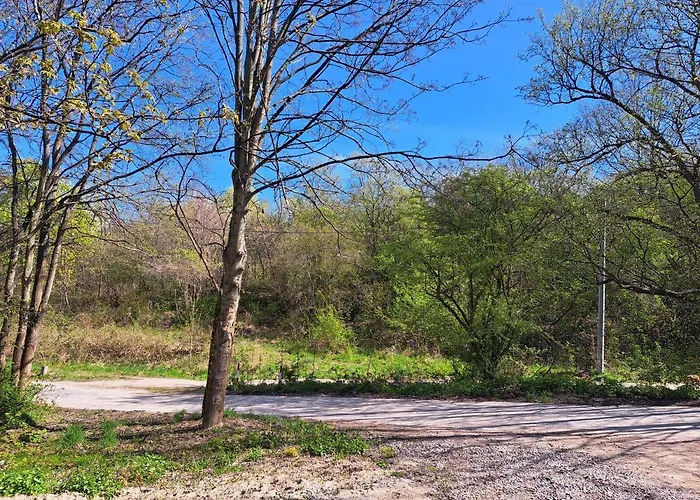 Apartment Mieszkanko Ukryte W Lesie, 10 Min Od Starego Miasta